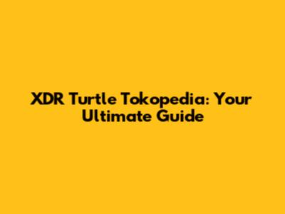 XDR Turtle Tokopedia: Your Ultimate Guide