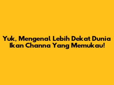 Yuk, Mengenal Lebih Dekat Dunia Ikan Channa Yang Memukau!