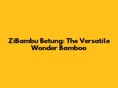 ZiBambu Betung: The Versatile Wonder Bamboo