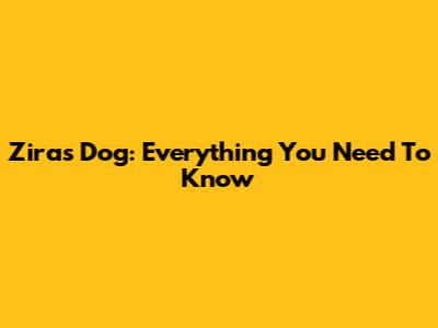 Zira's Dog: Everything You Need To Know